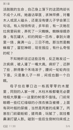 菲律宾私家侦探_菲律宾律师服务_代联系代翻译